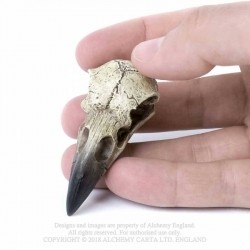 Alchemy Reliquary Raven Skull - Mała Czaszka Kruka - wisiorek figurka