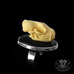 Pierścionek anatomiczna czaszka nietoperza 3D