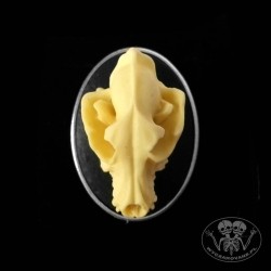 Pierścionek anatomiczna czaszka wilka 3D
